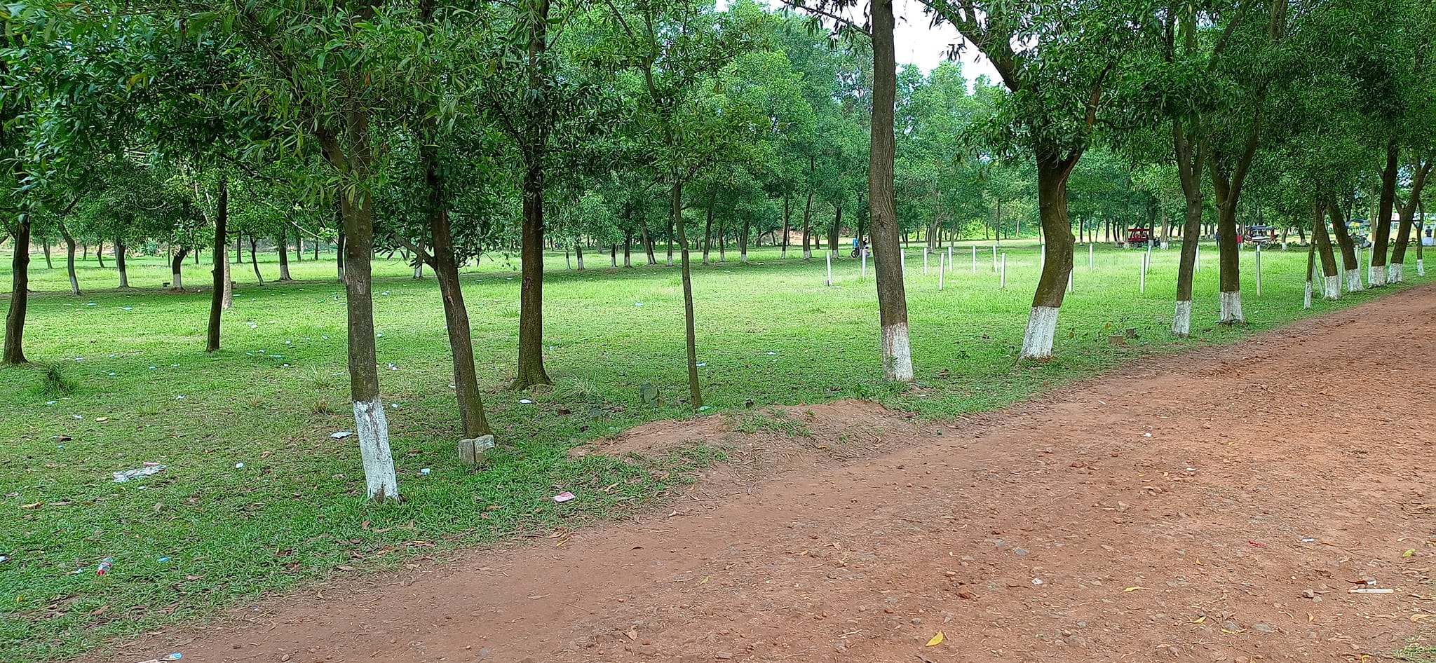 Boshundhara Mouchak prakalpa বসুন্ধরা মৌচাক প্রকল্প মৌচাক গাজীপুর (1)