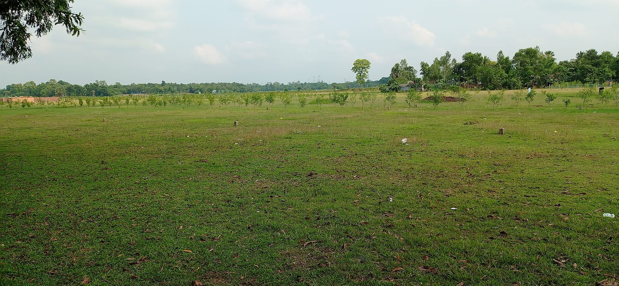Boshundhara Mouchak prakalpa বসুন্ধরা মৌচাক প্রকল্প মৌচাক গাজীপুর (2)