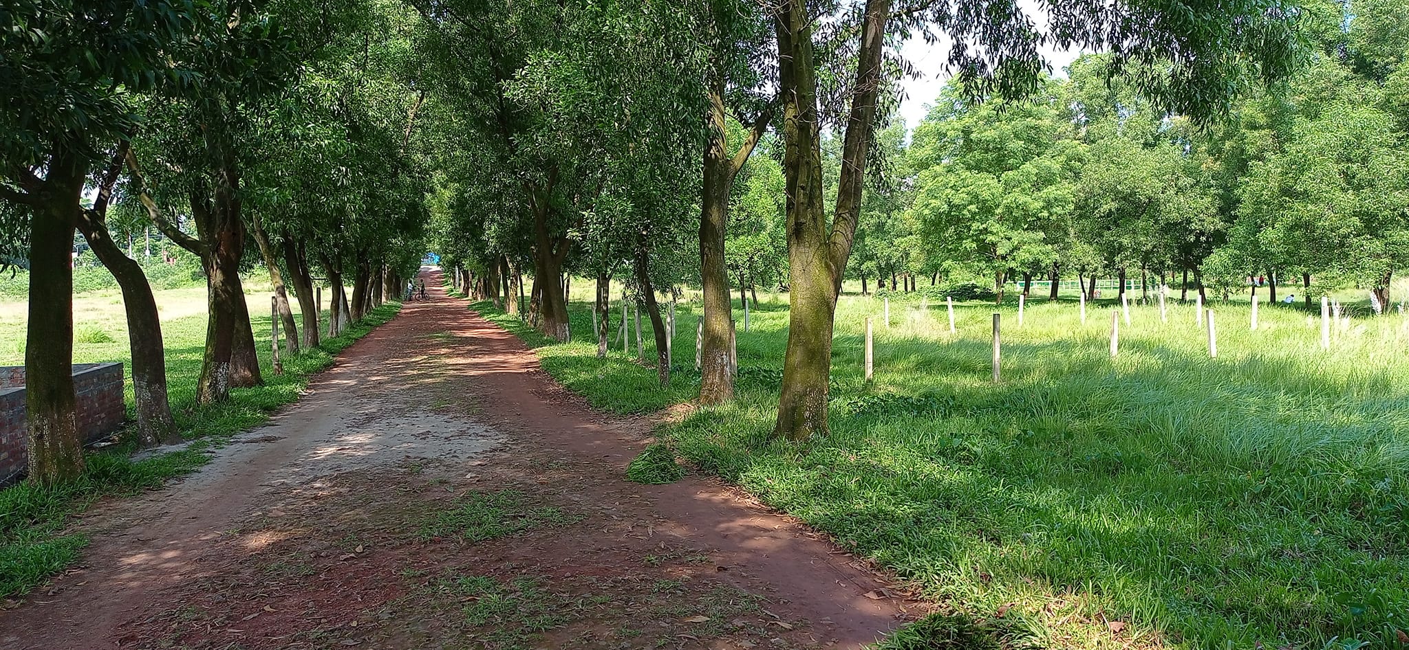 Boshundhara Mouchak prakalpa বসুন্ধরা মৌচাক প্রকল্প মৌচাক গাজীপুর (4)